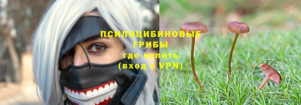 индика Абдулино