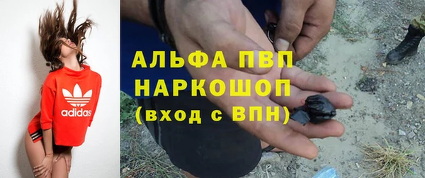 индика Абдулино